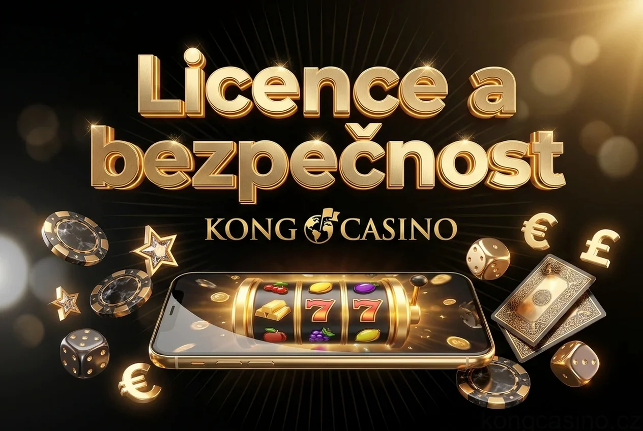 Licence a bezpečnost